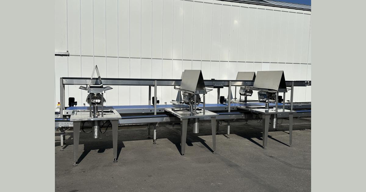 Greymans Paktech production and packaging line with weighers • Duijndam ...