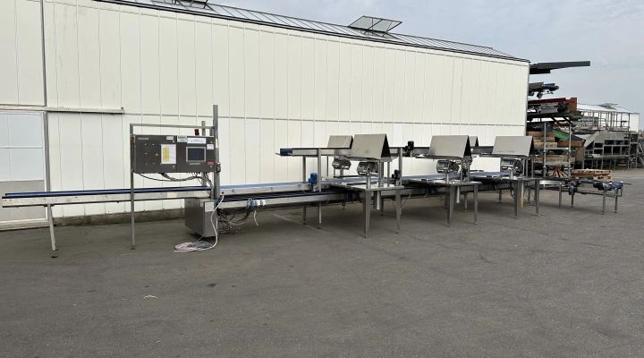 Greymans Paktech production and packaging line with weighers