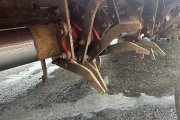 Grimme GF75-4 hill former 4 x 75 cm