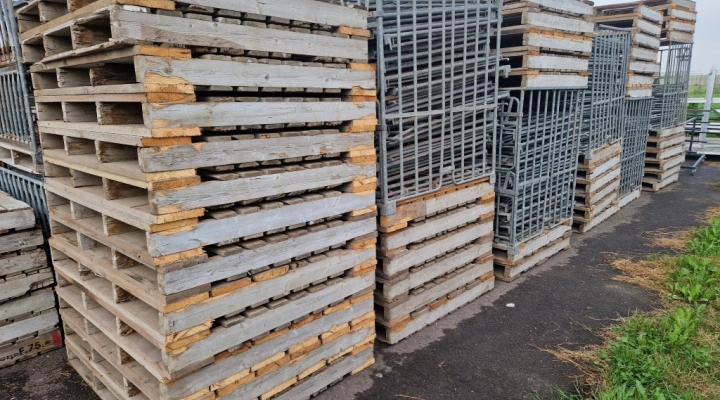 Halbertsma boxes for cabbage