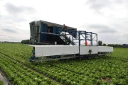 Harvester for iceberg lettuce in boxes