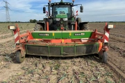 Holaras UM300F + UR285 onion harvester