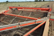 Holaras UM300F + UR285 onion harvester