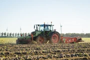 Holaras UM300 + UR285 harvester