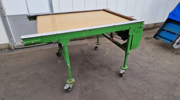 Inspection conveyor