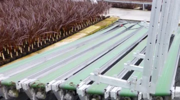 Intrasit 6 mtr.plantentransportband met vaste snelheid