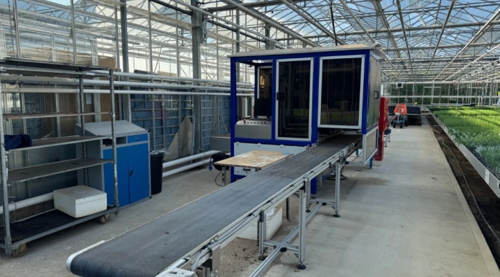 ISO 2500 & Planter Combi planting line automotic cutting and planting robot for trays and pots