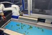ISO 2500 & Planter Combi planting line automotic cutting and planting robot for trays and pots