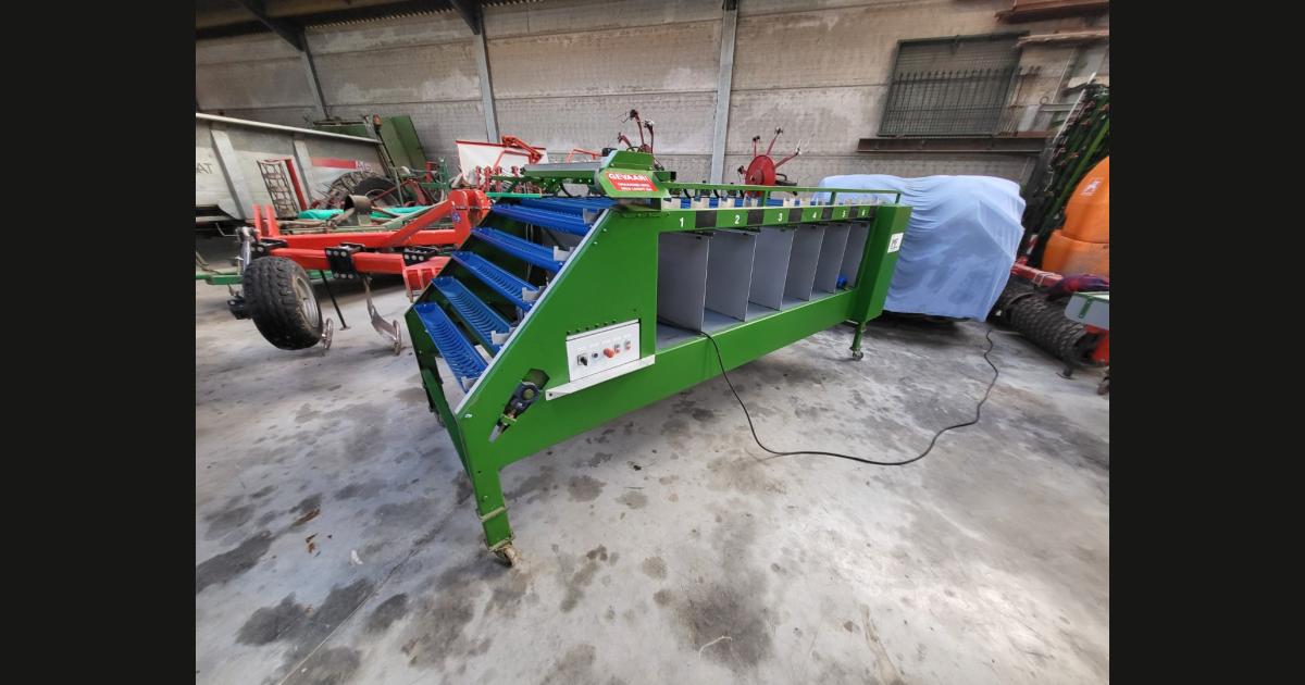 Jamafa rose length sorting machine with 6 stations and cutter ...