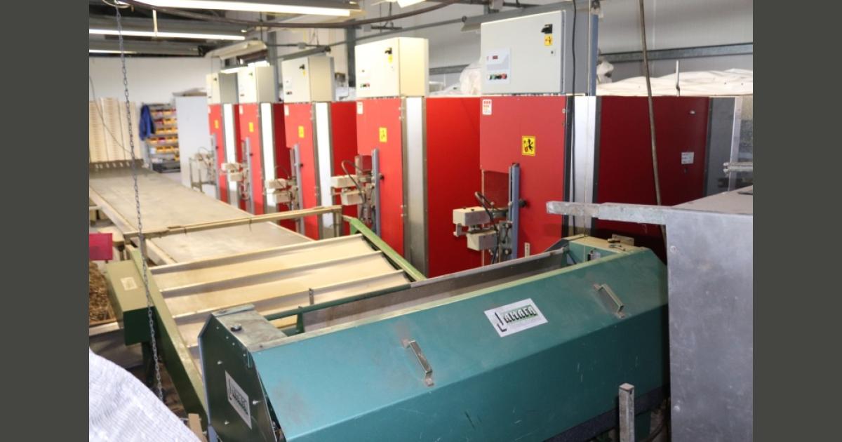 Sealing Roses Fixing Unit Jamafa sealing machine for roses with supply conveyor • Duijndam Machines