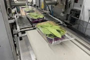Ilapak Carrera 500PC for trays
