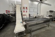 Jasa Multi Weigh shaker filling line for cherry tomato