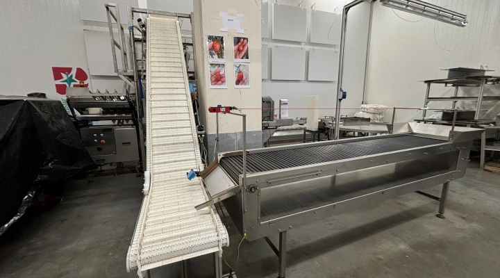 Jasa Multi Weigh shaker filling line for cherry tomato
