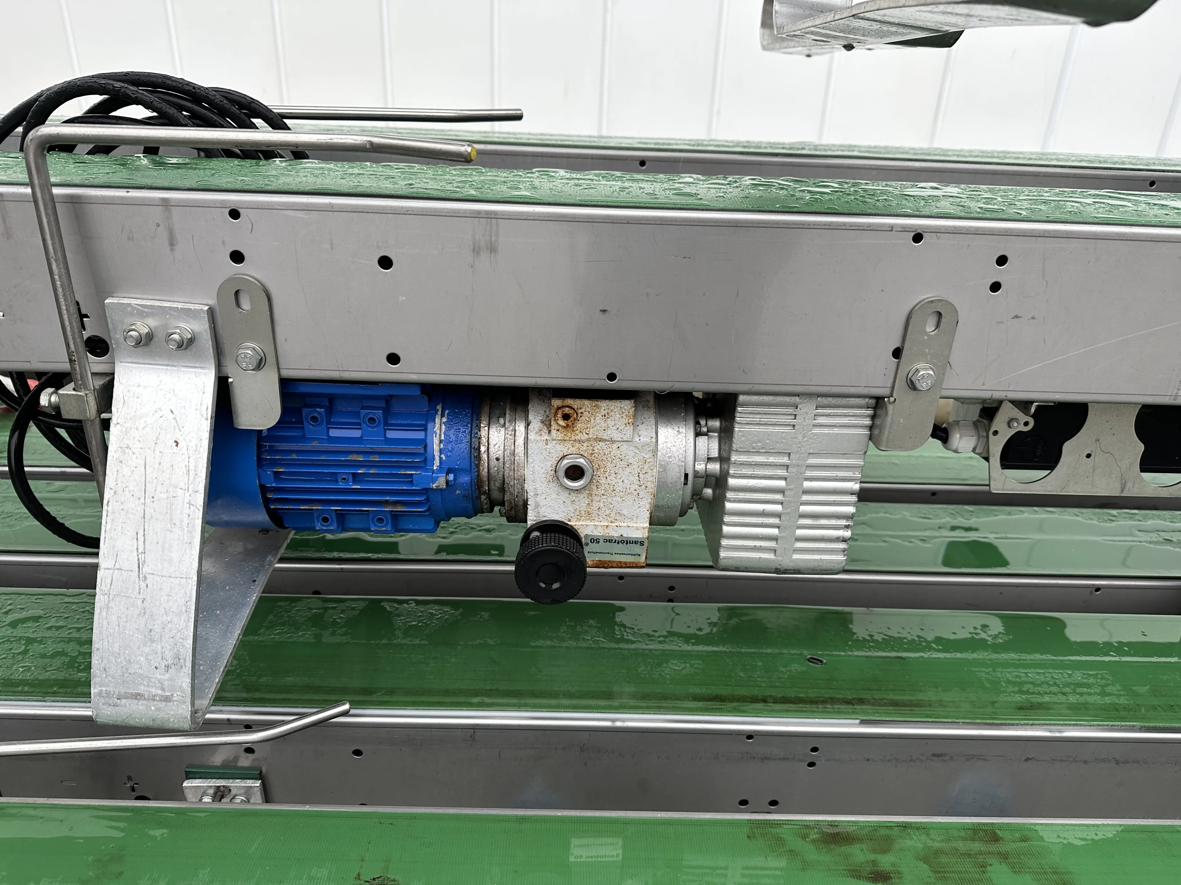 Javo potted plant conveyor 15 cm wide • Duijndam Machines