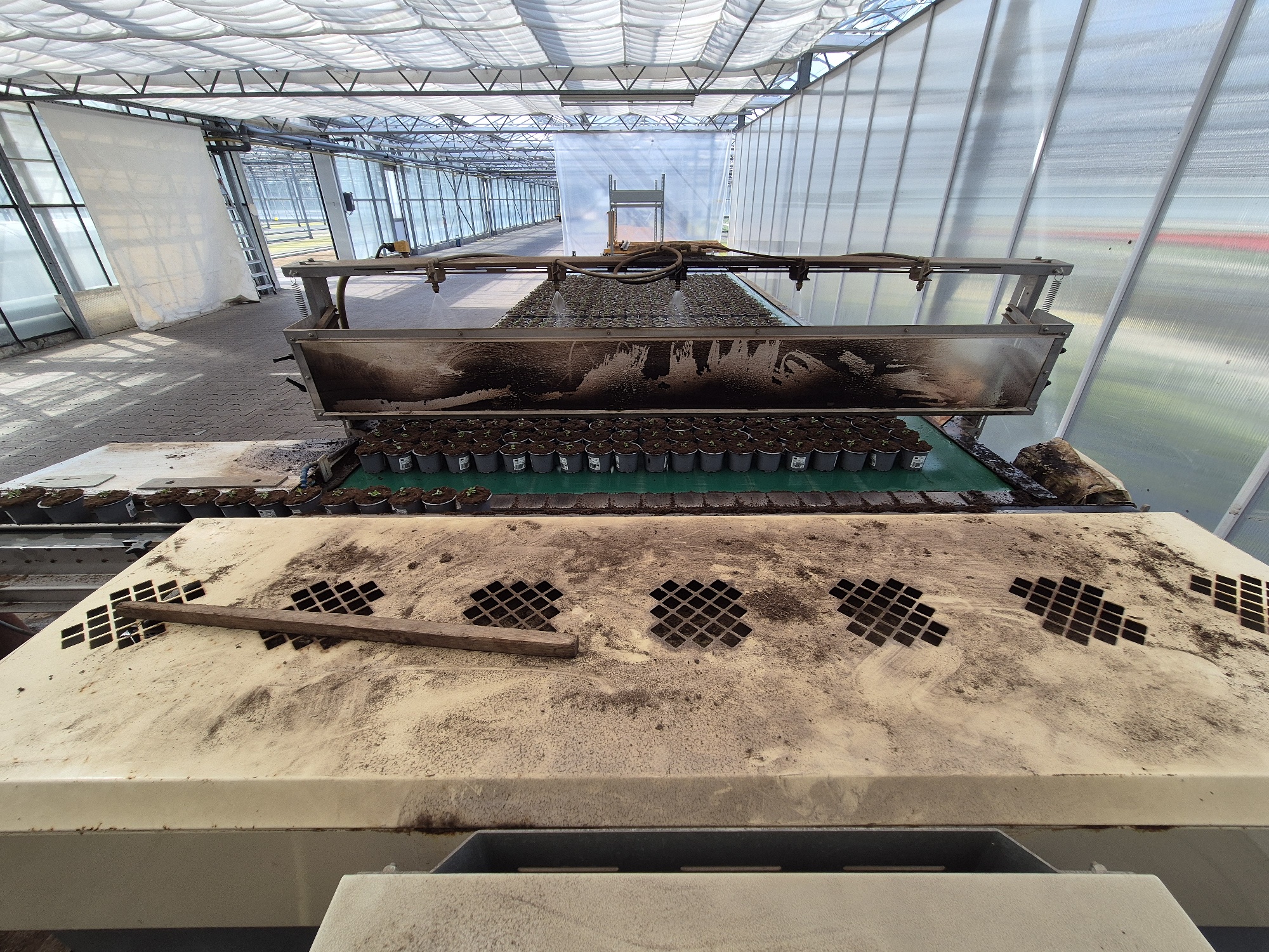 Javo JOR ������������� �������� 730 x 200 cm
