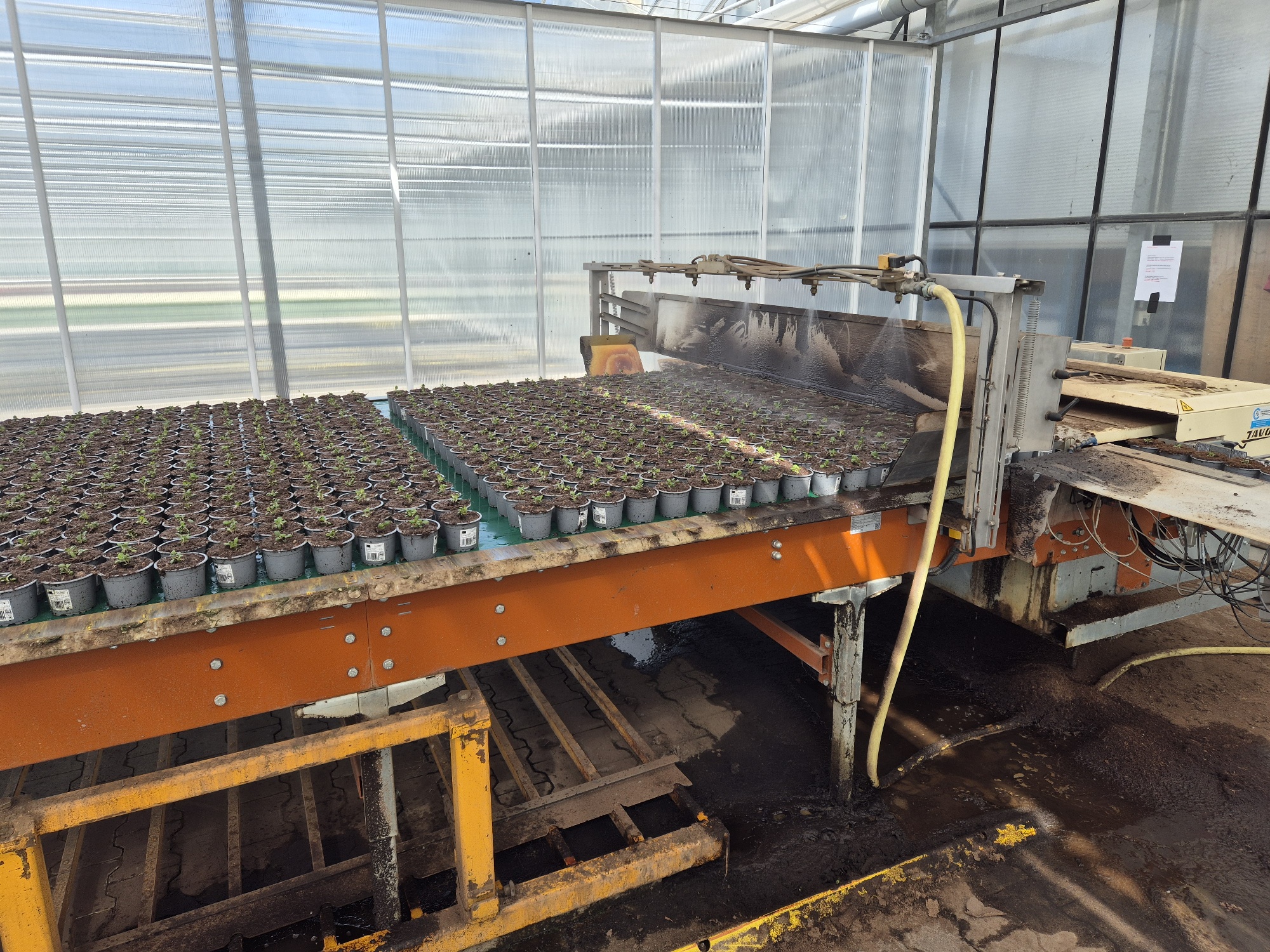 Javo JOR ������������� �������� 730 x 200 cm