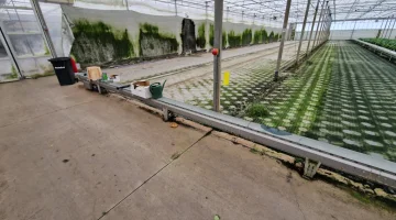 Javo Стационарный конвейер 86 метров x 20 см