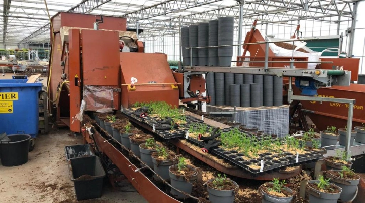 Javo Super Mega enmacetadora