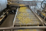 Key ADR 4 Automatic Defect Removal System for french fries