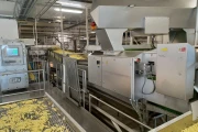 Key ADR 4 Automatic Defect Removal System for french fries