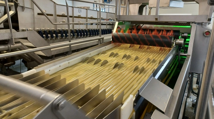 Key ADR 4 Automatic Defect Removal System for french fries • Duijndam ...