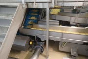 Key ADR 4 Automatic Defect Removal System for french fries