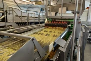 Key ADR 4 Automatic Defect Removal System for french fries