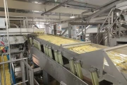 Key ADR 4 Automatic Defect Removal System for french fries