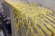 Key ADR 4 Automatic Defect Removal System for french fries