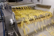 Key ADR 4 Automatic Defect Removal System for french fries
