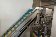 Key ADR 4 Automatic Defect Removal System for french fries