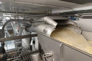 Key ADR 4 Automatic Defect Removal System for french fries