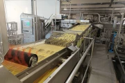 Key ADR 4 Automatic Defect Removal System for french fries