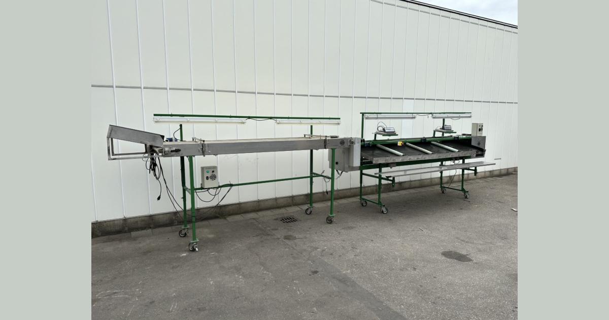 Knapen cherry grading machine with V-belts • Duijndam Machines