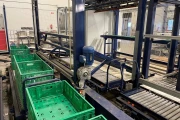 Koat vine tomato processing line