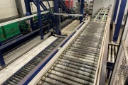 Koat vine tomato processing line