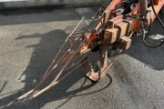 Lauwers Borobos AL harvester for trees