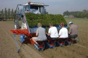 Lauwers Planting machine image 4