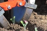 Lauwers Planting machine image 5
