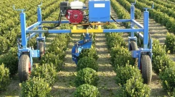 Lommers knipmachine voor Buxus bomen