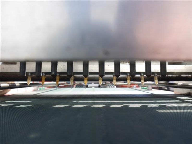 Mosa seeding line for trays � Duijndam Machines