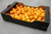 Box of citrus