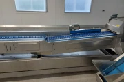 Neubauer Espaso S60 grading and weighing machine for green asparagus