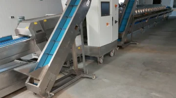 Neubauer Espaso SEC 60 Sortiermaschine und Waage für Grunspargel