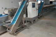 Neubauer Espaso S60 grading and weighing machine for green asparagus