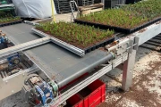 Buffer conveyor for potplants and trays