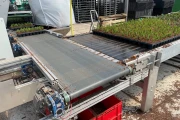 Buffer conveyor for potplants and trays