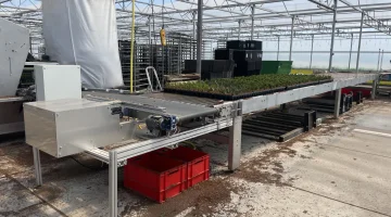 Nieuwe bufferband met overduwer voor potplanten en trays
