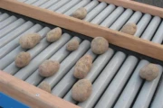 New roller inspection conveyor image 5