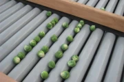 New roller inspection conveyor image 6